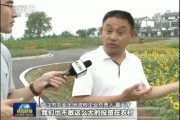 快乐吃瓜娱乐新闻视频在线观看,热门吃瓜娱乐新闻视频在线观看指南